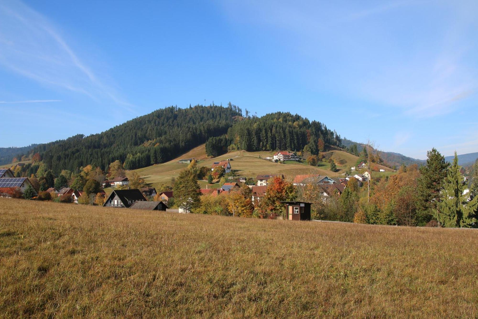 Luxus-Landhaus Im Schwarzwald/Baiersbronn Mit Pool Zewnętrze zdjęcie